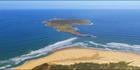 Gabo Island - VIC (PBH3 00 34719)
